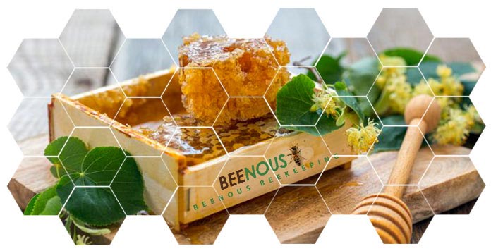 راههای تشخیص عسل طبیعی از عسل تقلبی 